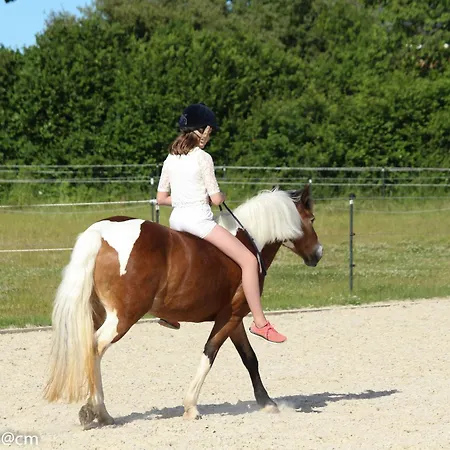 Ostseeferien Evershof *